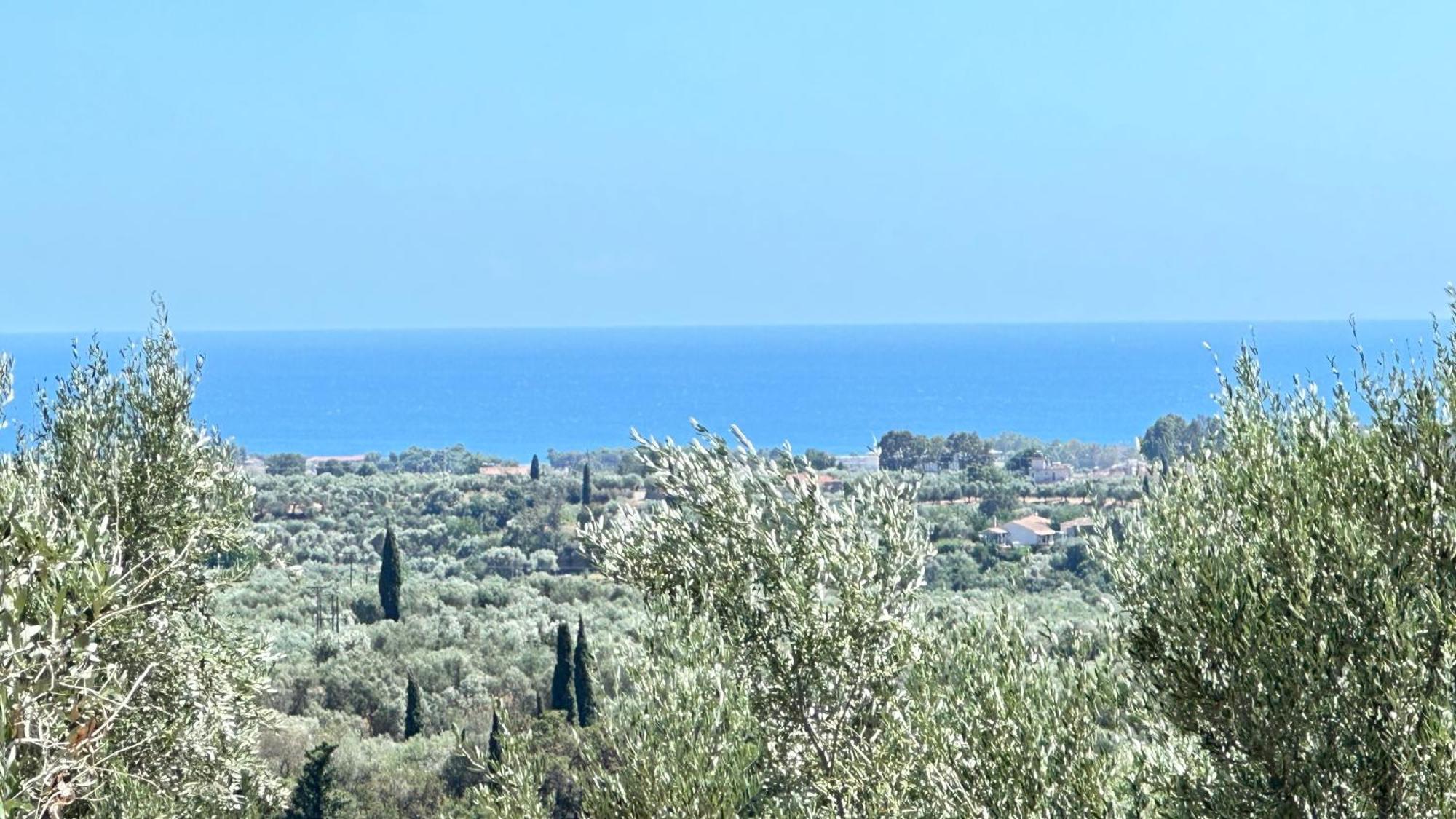 The Secret Garden At Villa Georgia Καλαμάτα Εξωτερικό φωτογραφία