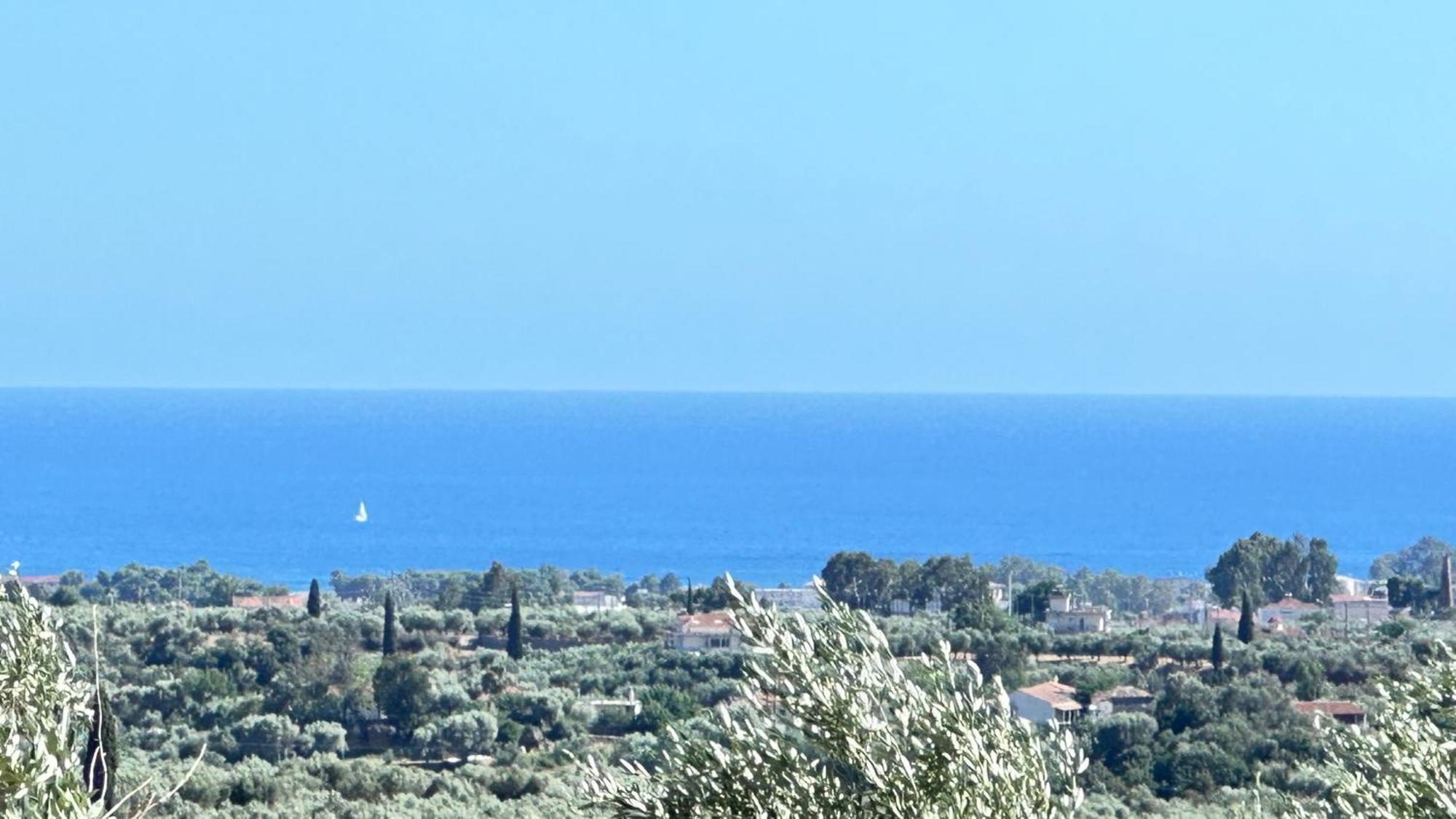 The Secret Garden At Villa Georgia Καλαμάτα Εξωτερικό φωτογραφία